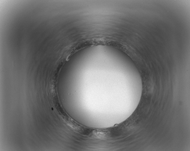 X0000066930706200604071846