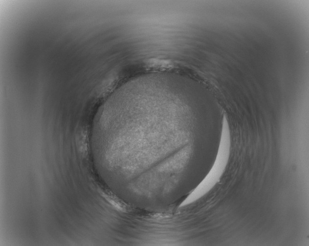 X0000066930708200604071846