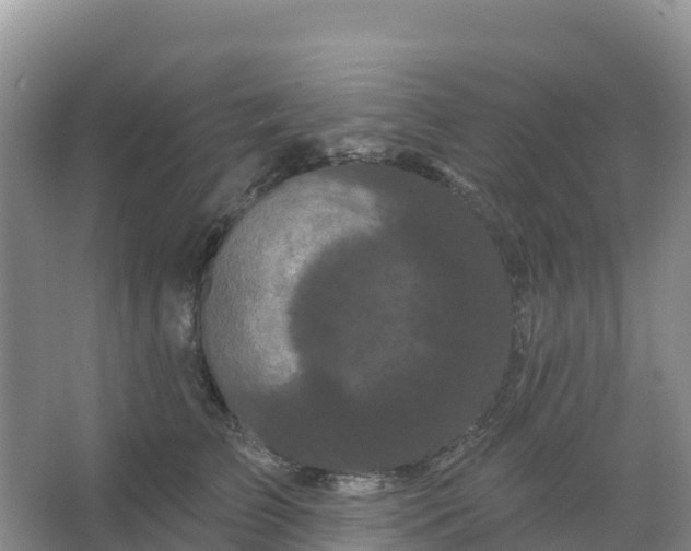 X0000066930709200604071846