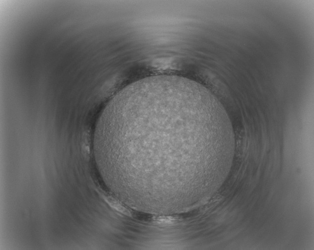 X0000066930710200604071846