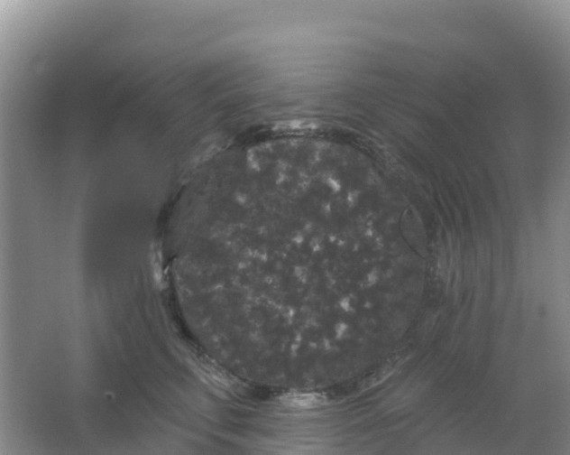 X0000066930711200604071846