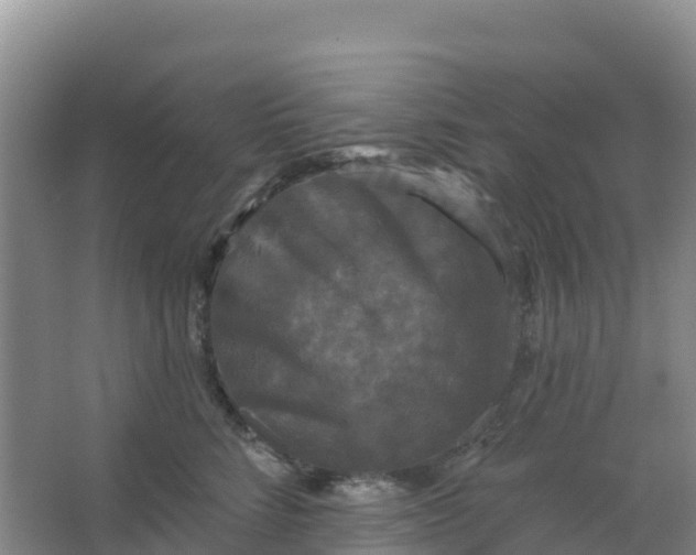 X0000066930712200604071846