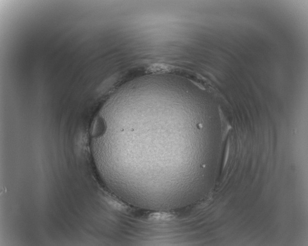 X0000066930714200604071846