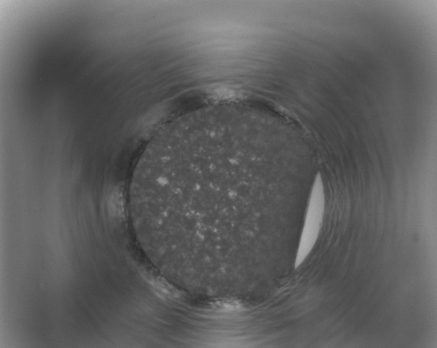 X0000066930715200604071846