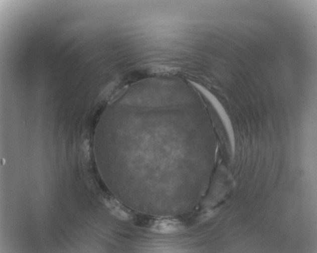 X0000066930716200604071846