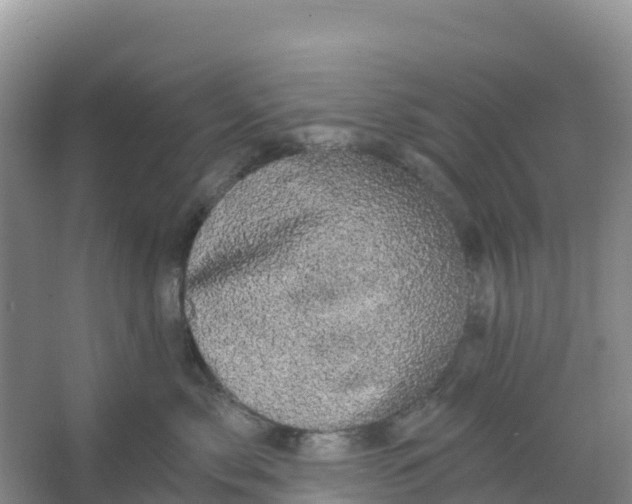 X0000066930717200604071846