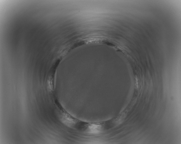 X0000066930718200604071846