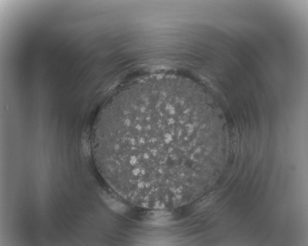 X0000066930719200604071846