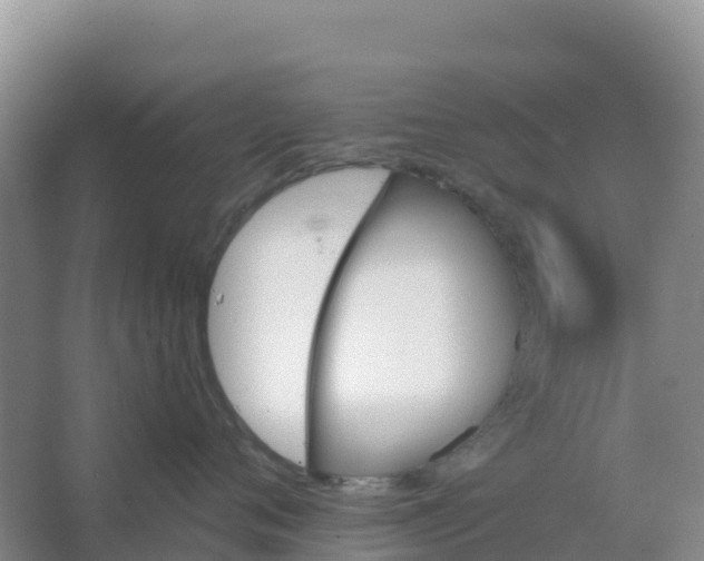 X0000066930720200604071846