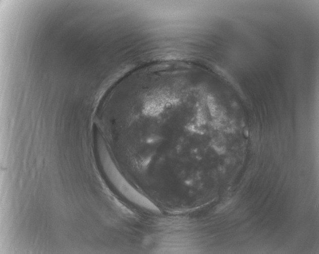 X0000066930721200604071845