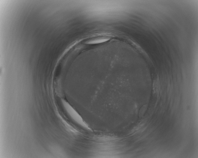 X0000066930722200604071845