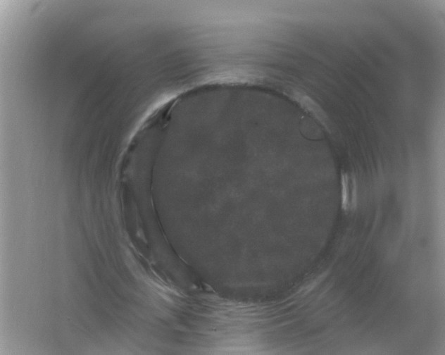 X0000066930723200604071845