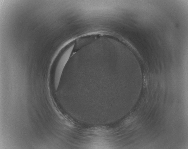 X0000066930724200604071845