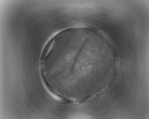 X0000066930726200604071845