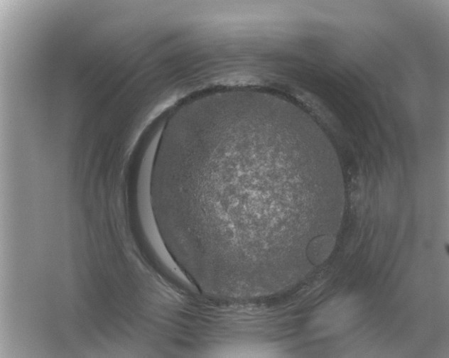 X0000066930727200604071845