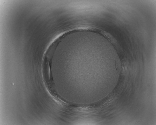 X0000066930728200604071845