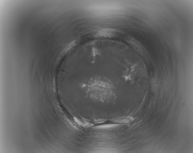 X0000066930729200604071845