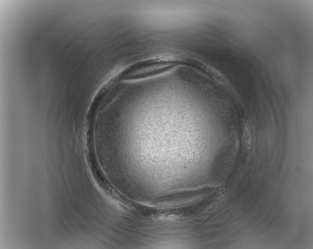 X0000066930730200604071845