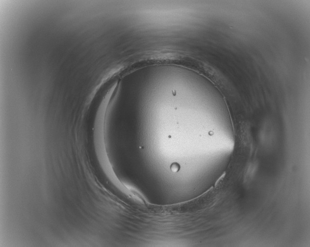 X0000066930731200604071845