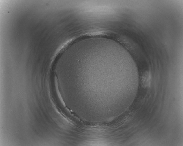 X0000066930732200604071845