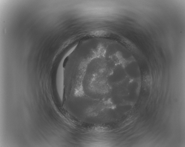 X0000066930734200604071846