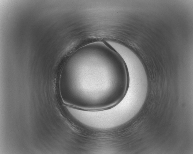 X0000066930735200604071846