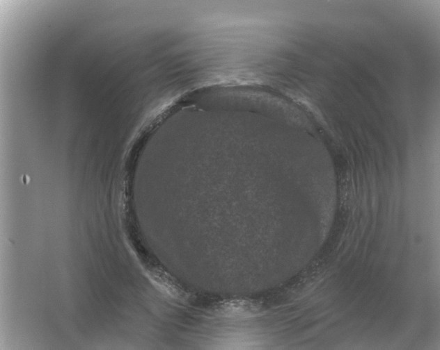 X0000066930736200604071846