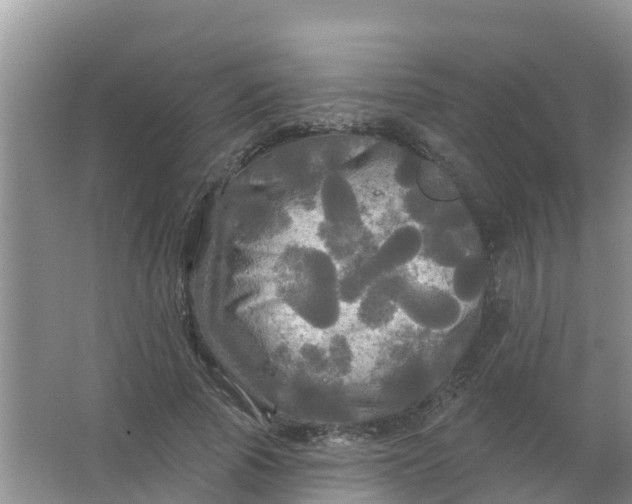 X0000066930737200604071846