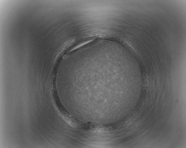 X0000066930738200604071846