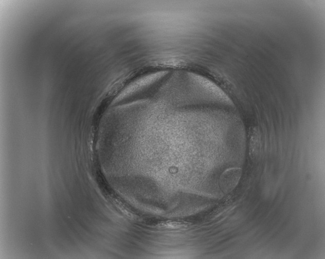 X0000066930739200604071846