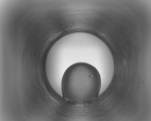 X0000066930740200604071846