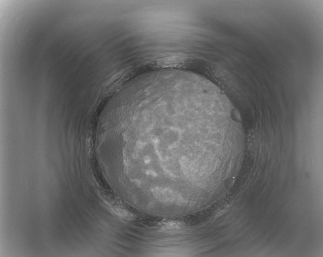 X0000066930741200604071846