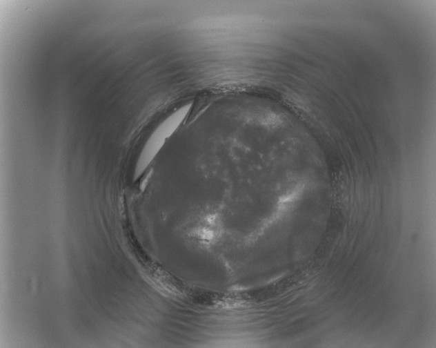 X0000066930742200604071846