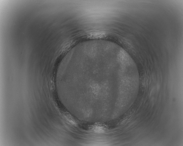 X0000066930743200604071846