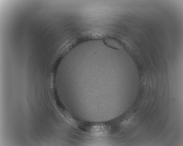 X0000066930744200604071846