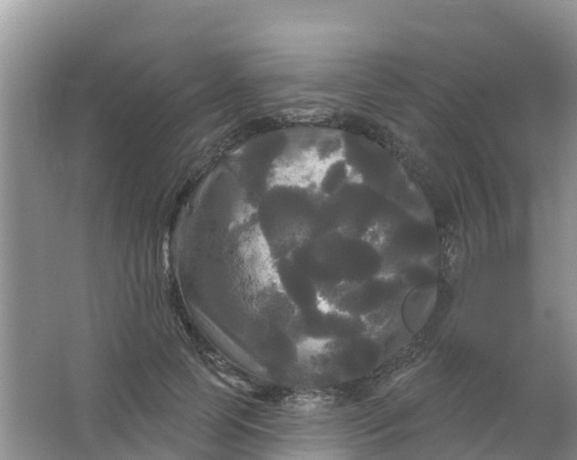 X0000066930745200604071846