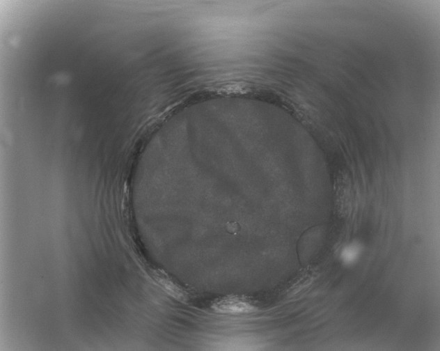 X0000066930747200604071846