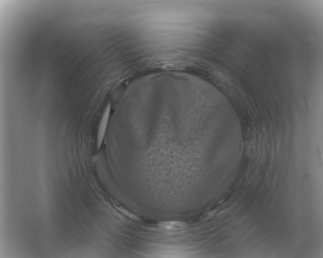 X0000066930748200604071846