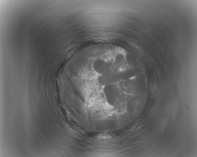 X0000066930749200604071846