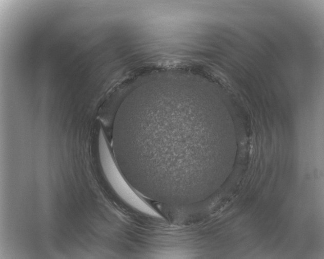 X0000066930750200604071846