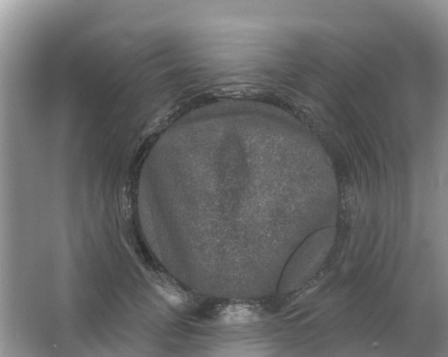 X0000066930751200604071846