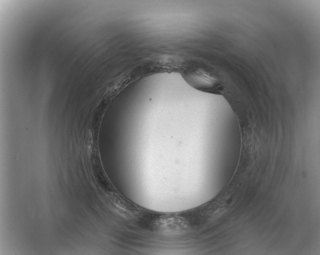 X0000066930752200604071846