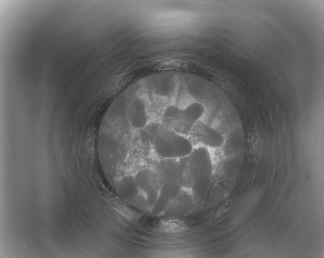 X0000066930753200604071846