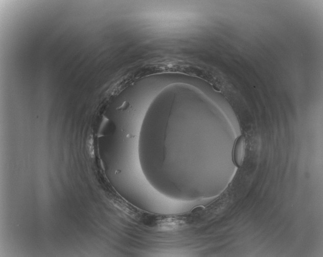 X0000066930754200604071846