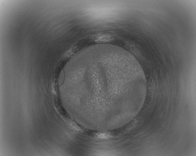 X0000066930755200604071846