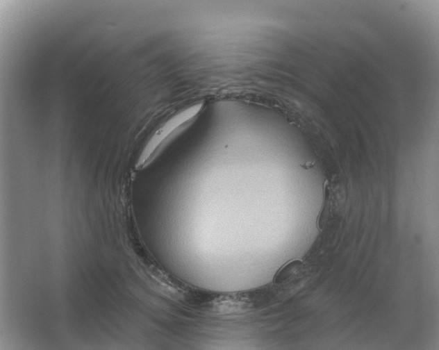 X0000066930756200604071846