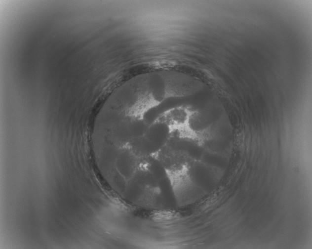 X0000066930757200604071846