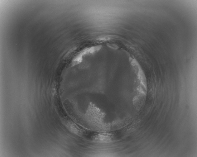 X0000066930758200604071846