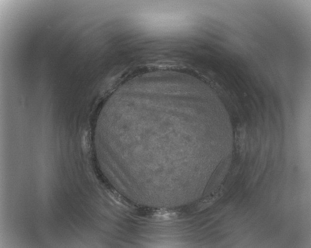 X0000066930760200604071846