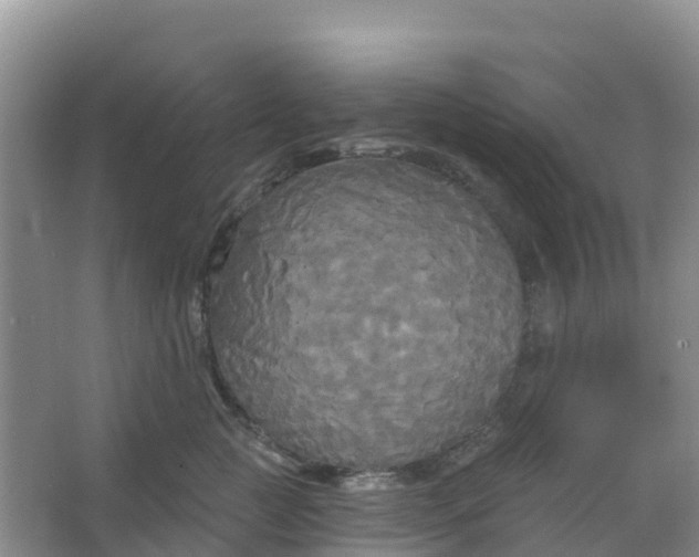 X0000066930761200604071846